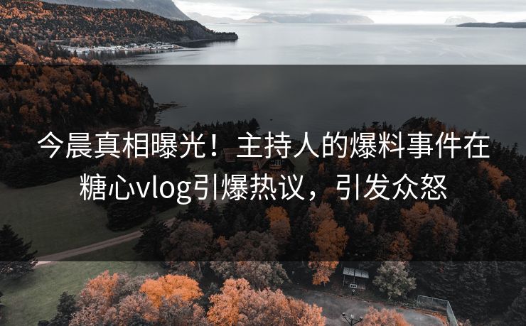 今晨真相曝光！主持人的爆料事件在糖心vlog引爆热议，引发众怒