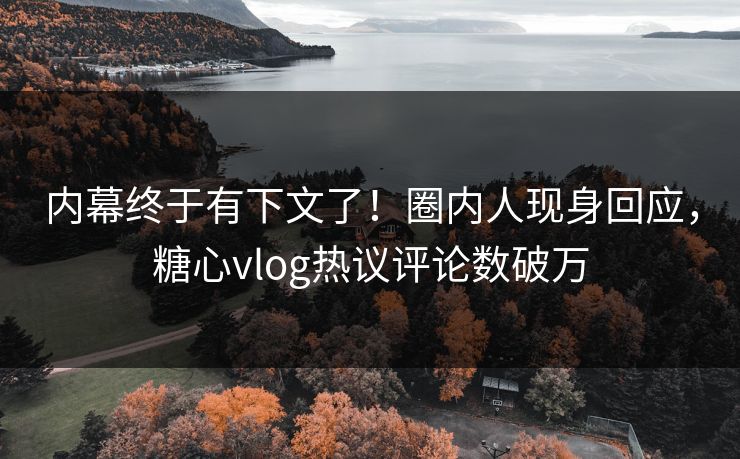 内幕终于有下文了！圈内人现身回应，糖心vlog热议评论数破万