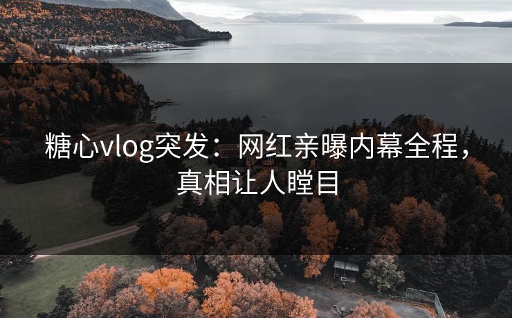 糖心vlog突发：网红亲曝内幕全程，真相让人瞠目