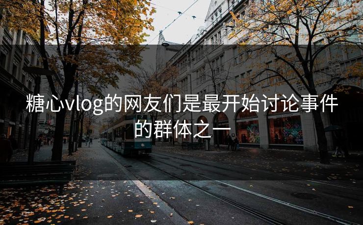 糖心vlog的网友们是最开始讨论事件的群体之一