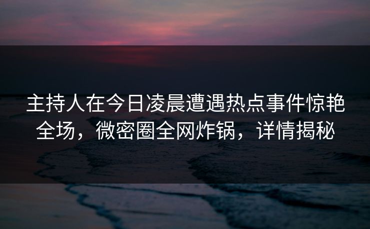 主持人在今日凌晨遭遇热点事件惊艳全场，微密圈全网炸锅，详情揭秘